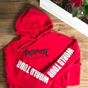 NWOT🌷Purpose World Tour Cropped Hoodie